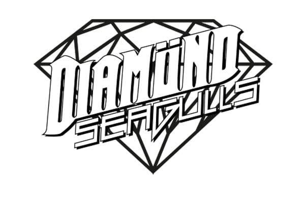 Diamond Seagulls Markenberatung Suchmaschinenoptimierung